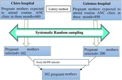 Prevalence of hepatitis B infection and its associated factors among pregnant mothers attending antenatal care at public hospitals at Hararghe, Eastern Ethiopia